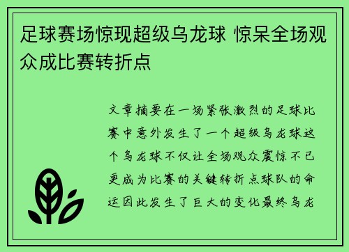 足球赛场惊现超级乌龙球 惊呆全场观众成比赛转折点